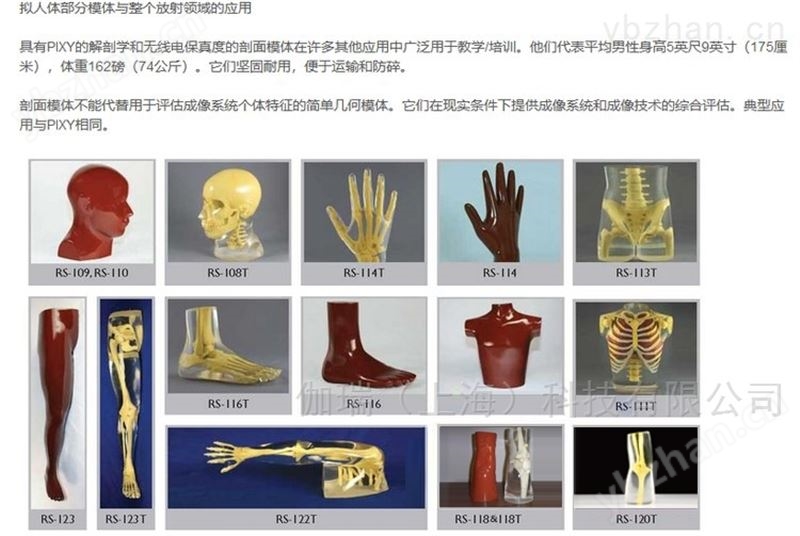 美国RSD治疗胸z模体
