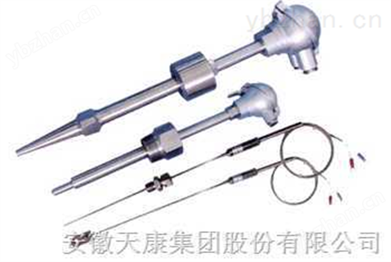 一体化防爆热电阻WZPB-441S