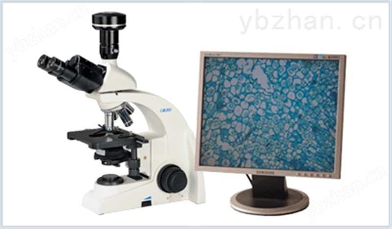 数码摄像生物显微镜（不含相机） 型号:BGP8-BG200 库号：M391658