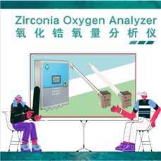 AECEN2000氧化锆氧量分析仪