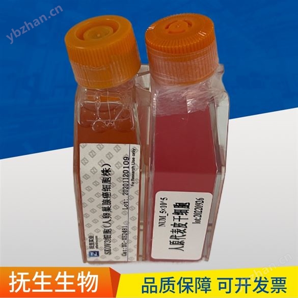 特级胎牛血清（澳洲血源）