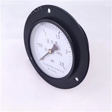 0-60mpa1.0级通用型压力表-西安铂科仪表厂