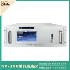 NK-300空分露点仪