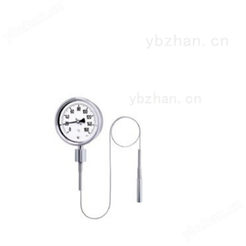 万向型在线式双金属温度计