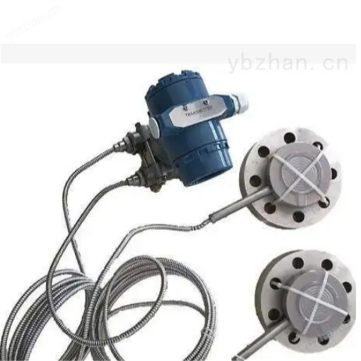 双法兰型差压变送器