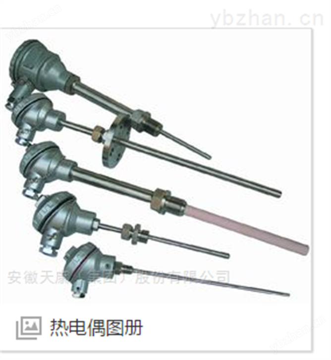 防腐热电阻-特殊型热电阻