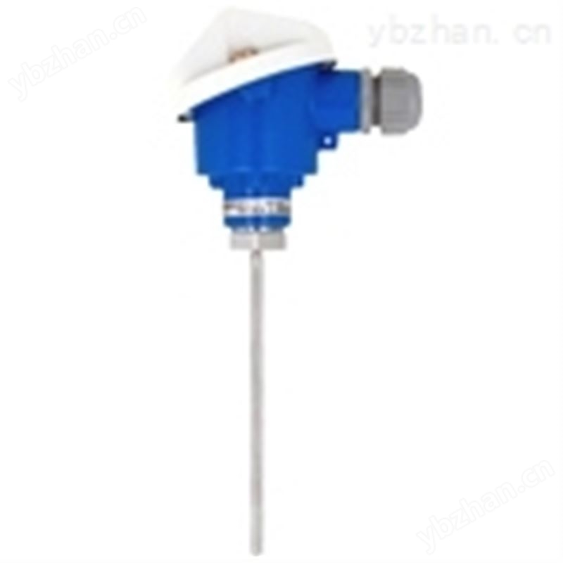 TR24热电阻温度传感器-热电阻传感器