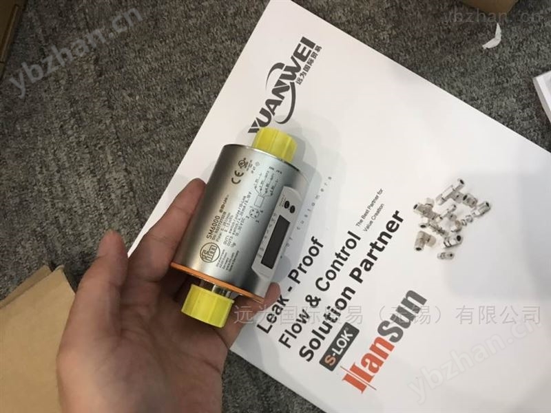BUEHLER NV 74-HY-MS-S6/370-2K-KT-三线制热电阻