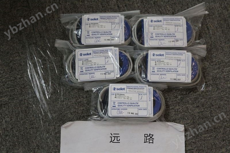意大利赛利特传感器B01AN10N0 流量巡测仪