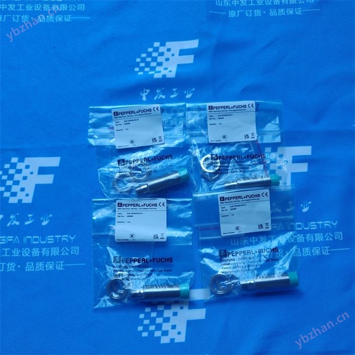 ITALCOPPIE热电偶TRM P1Z-3--0100X