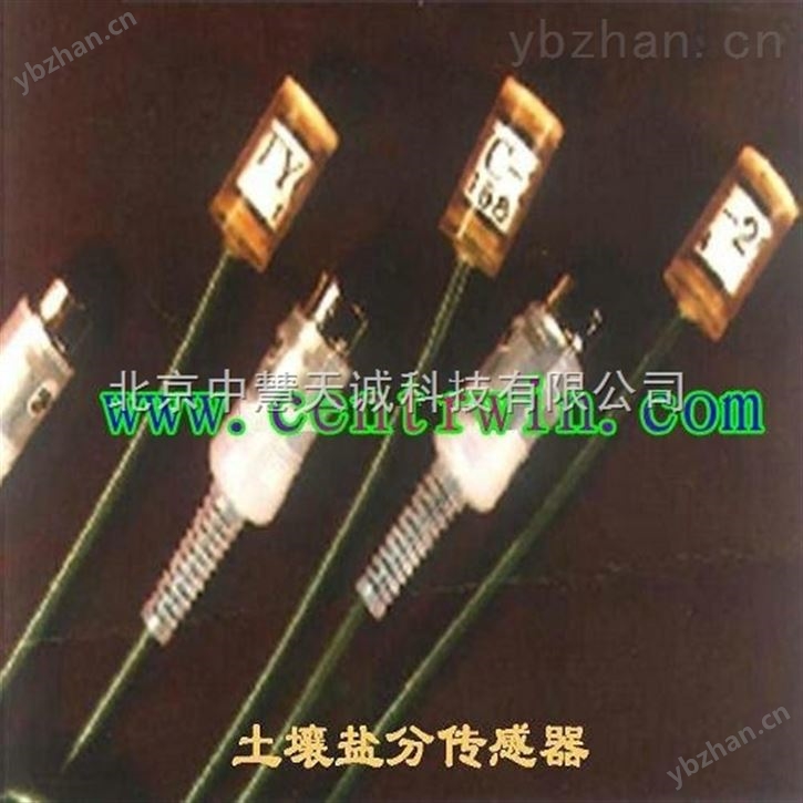 土壤盐分传感器（配ZKNT-SY-3电导率•温度计测定）  型号：ZKNT-100B