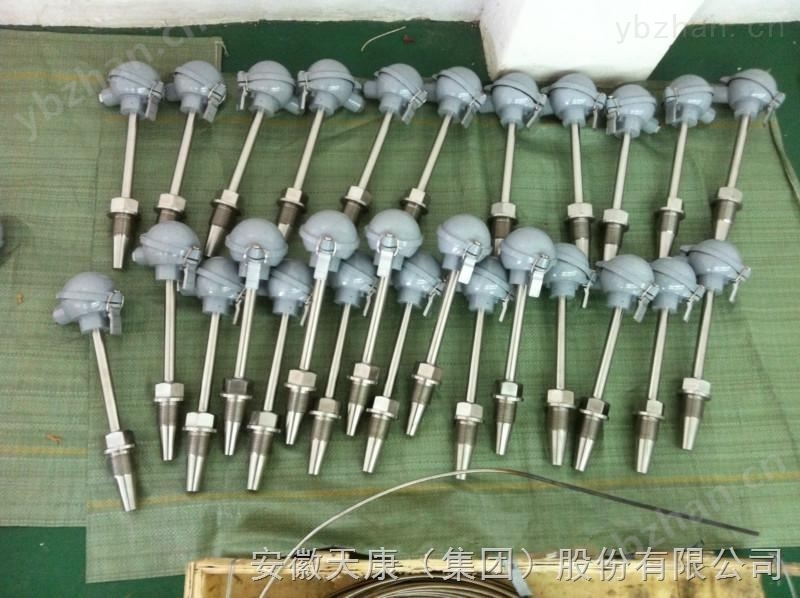 WZPQ2-E32-15双支埋入式铂热电阻