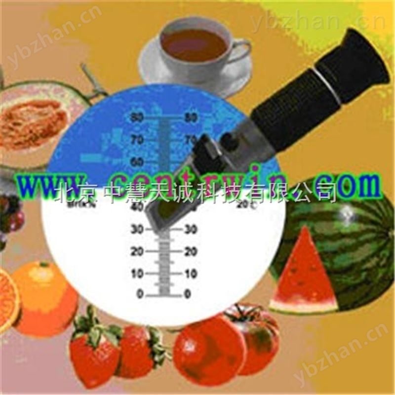 手持式糖度计/折光仪（0-80%）  型号：HFCWYT-80