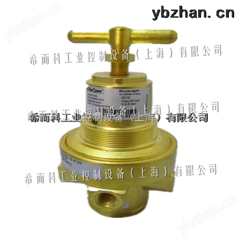 希而科*欧洲工控产品 超快物流 *SOMMER  SG10-自动上水仪