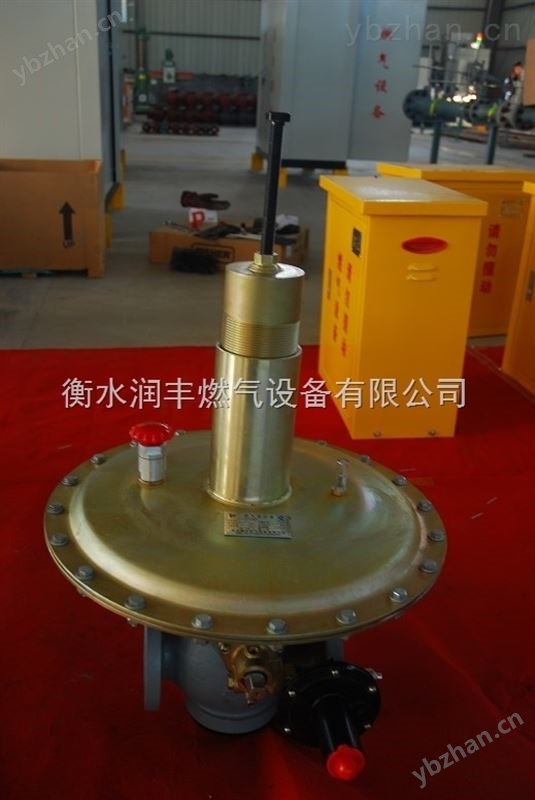 沼气减压阀大流量生物制气调压器RFAQ润丰 燃气调压器 生物制气调压器