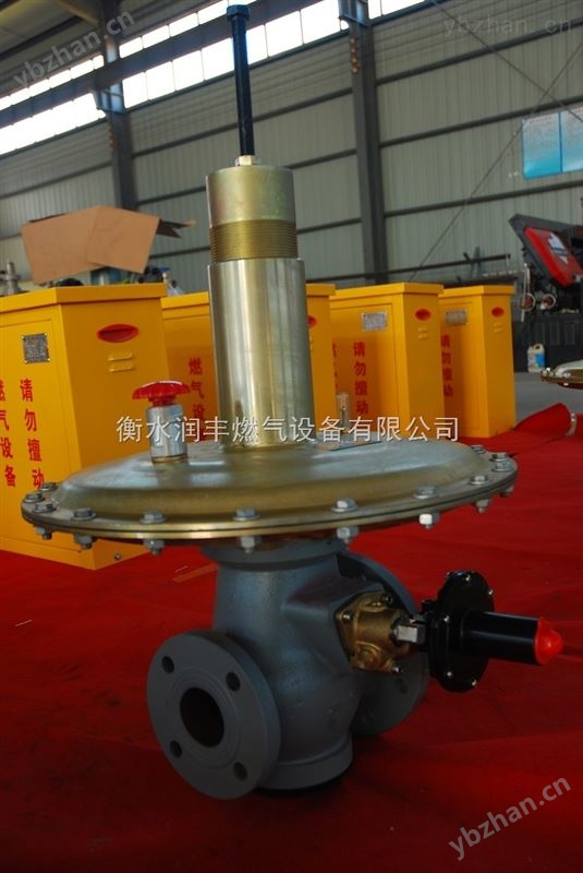 沼气减压阀大流量生物制气调压器RFAQ润丰 燃气调压器 生物制气调压器