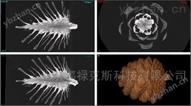 CT 001C微焦点X射线工业CT断层扫描系统