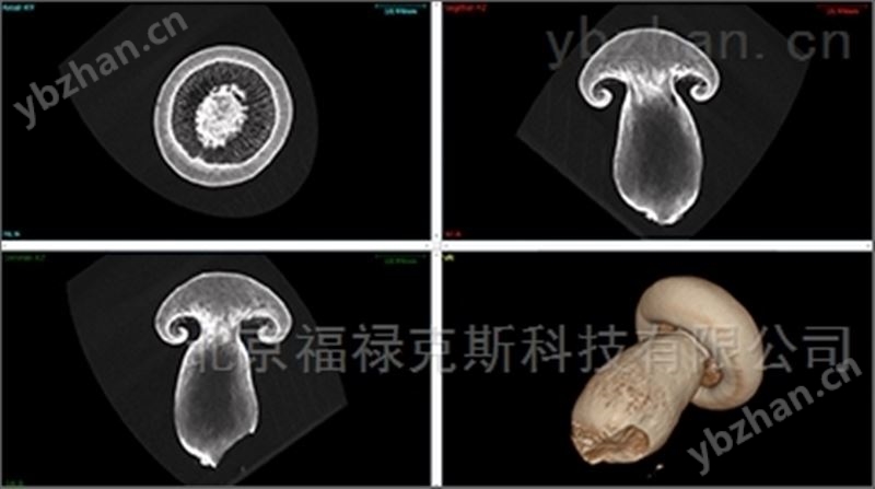 CT 001C微焦点X射线工业CT断层扫描系统