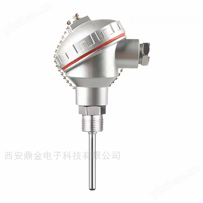 热电阻铠装温度变送器