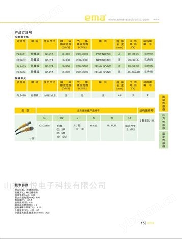ema伊玛FL6403分体式流动传感器