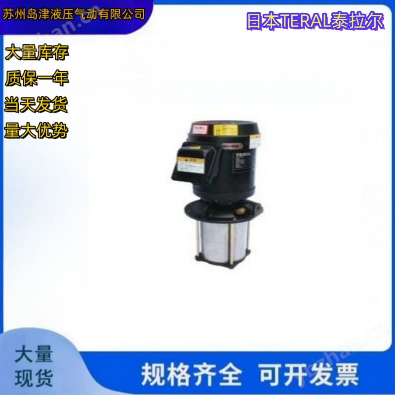 水泵日本TERAL泰拉尔排污泵