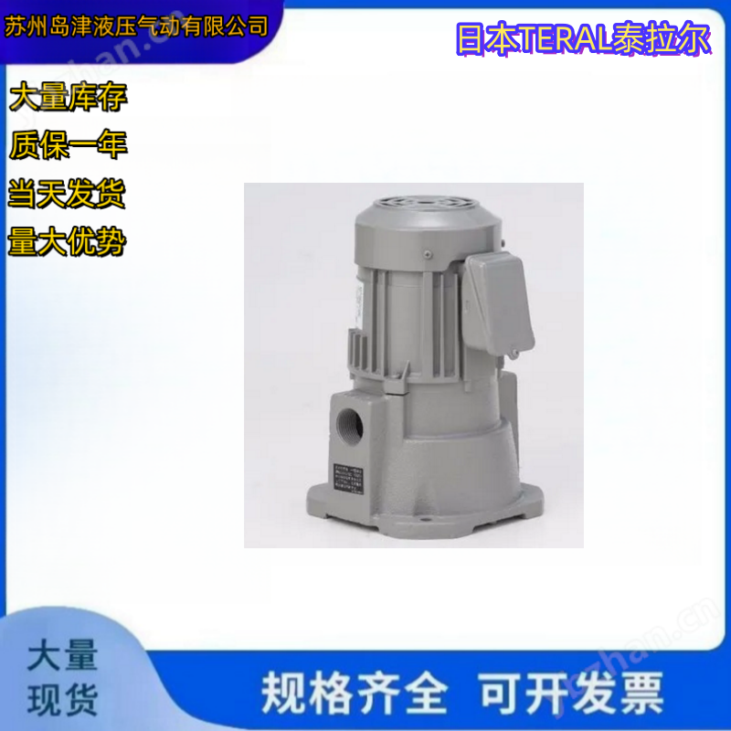 排污泵 日本TERAL泰拉尔水泵 砂泵