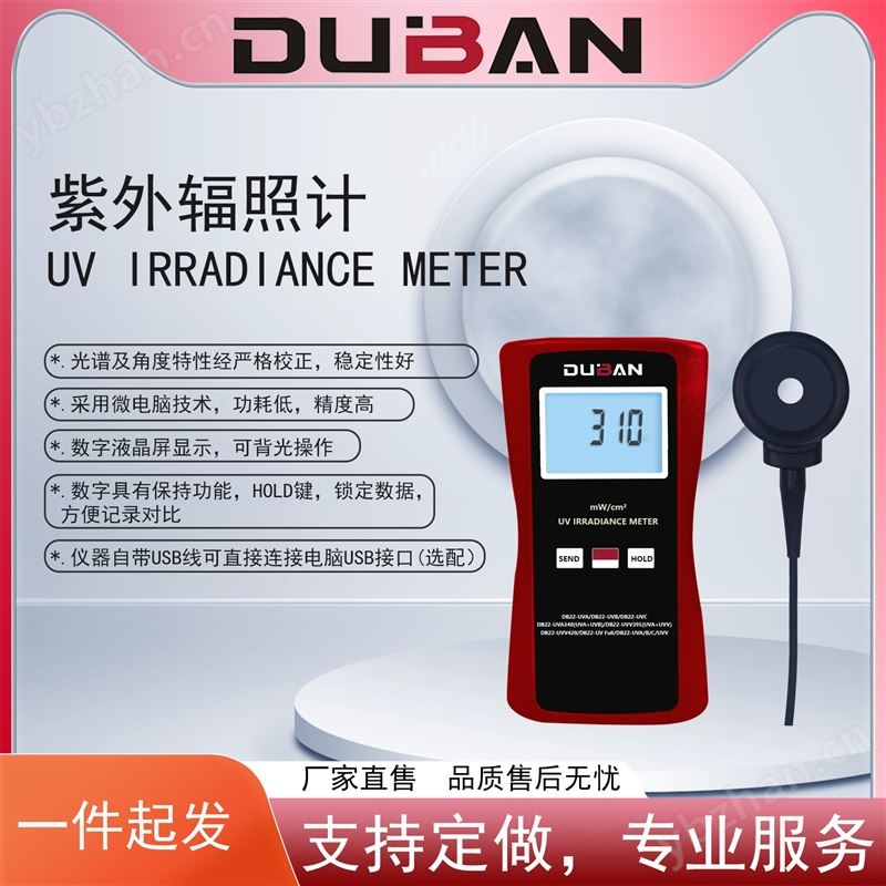 紫外辐照计 DB22-UV系列