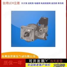 PR2+V2064液压马达 中国台湾LCH立晟齿轮泵调压阀
