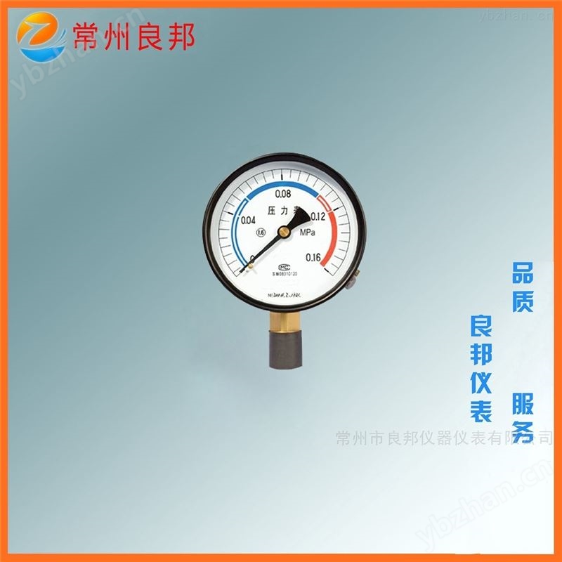 YTB系列不锈钢防腐压力表 316L材质*选【常州良邦】