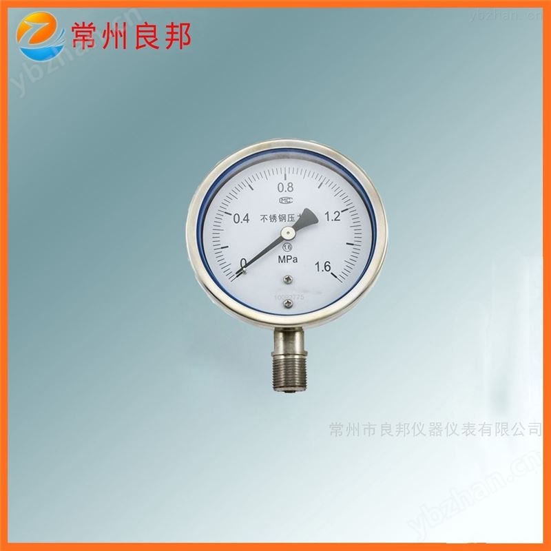 YTB系列不锈钢防腐压力表 316L材质*选【常州良邦】