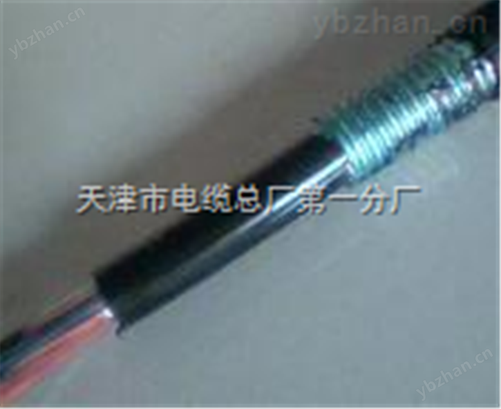 电源电缆 RVVZ_通信电源电缆