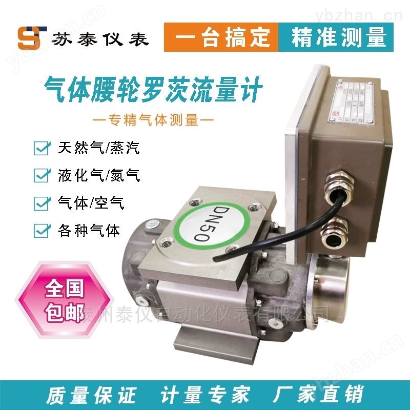 天然气流量计CT-LFQ型 罗茨流量表 高精度 腰轮(罗茨)流量计