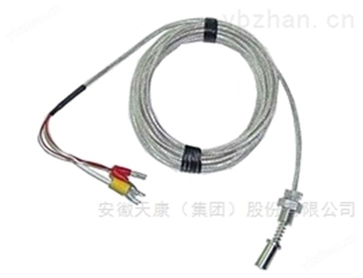WZP-230F 防腐热电阻