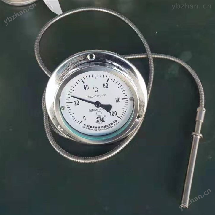 压力式温度计类型