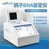 鸽子DNA鉴定仪