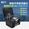 智能环境氡测量仪