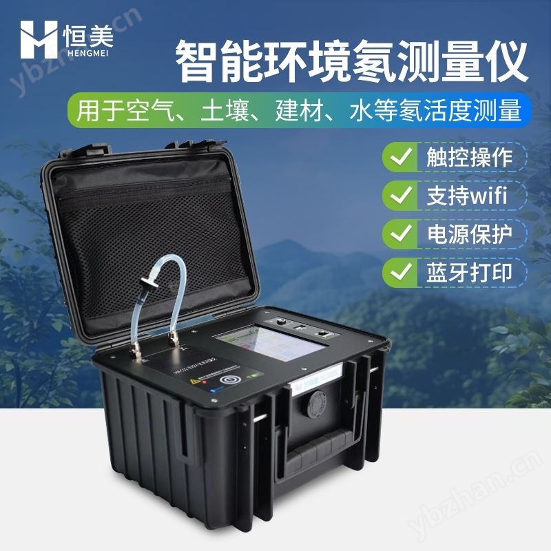 智能环境氡测量仪