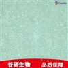 鸡胚成纤维细胞永生化细胞专用培养基