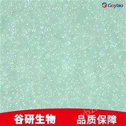 小鼠原代胃cajal间质细胞专用培养基