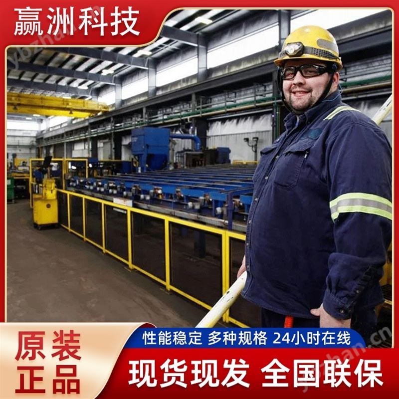 奥林巴斯Vanta iX全自动在线xrf分钢仪