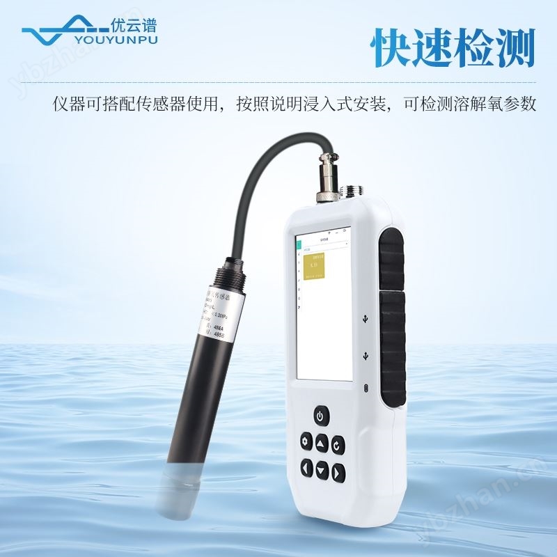 溶解氧测定仪
