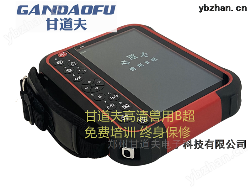 高清牛用B超使用方法兽用B超图像判断