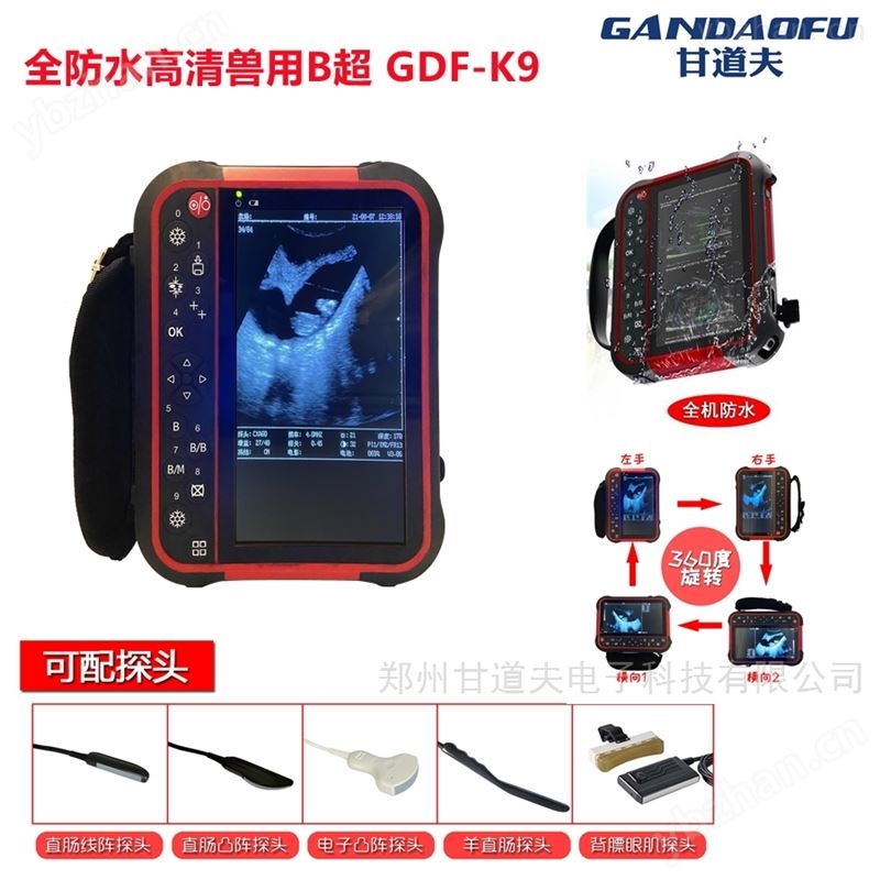 高清牛用B超使用方法兽用B超图像判断