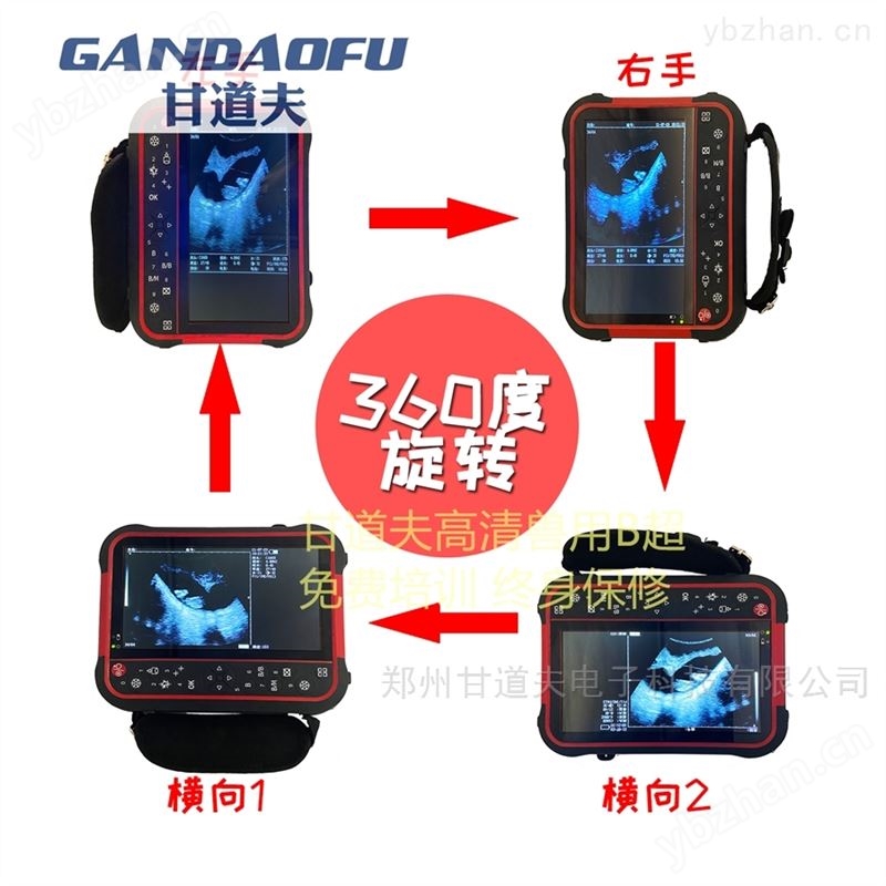 高清牛用B超使用方法兽用B超图像判断