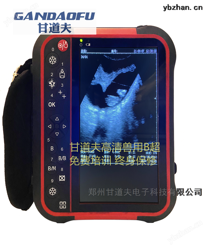 招标采购牛羊B超动物B超新报价价格大全