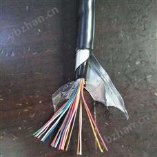 HYAT23市话通讯电缆 HYAT23电缆实物图