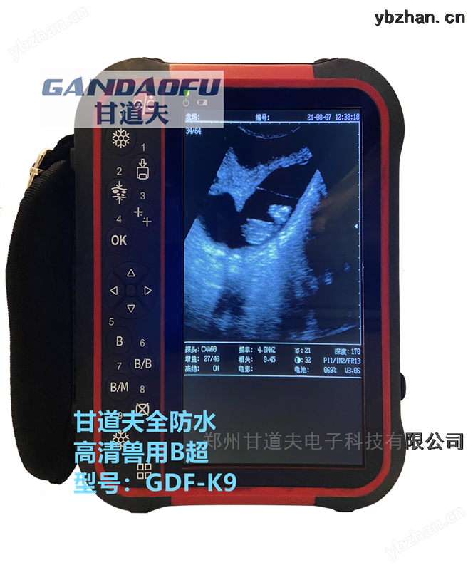 高清骆驼B超测孕仪价格报价