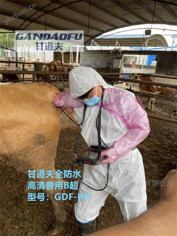 高清骆驼B超测孕仪价格报价