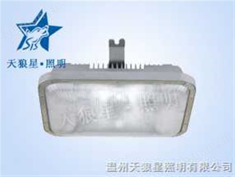 NFC9175长寿顶灯