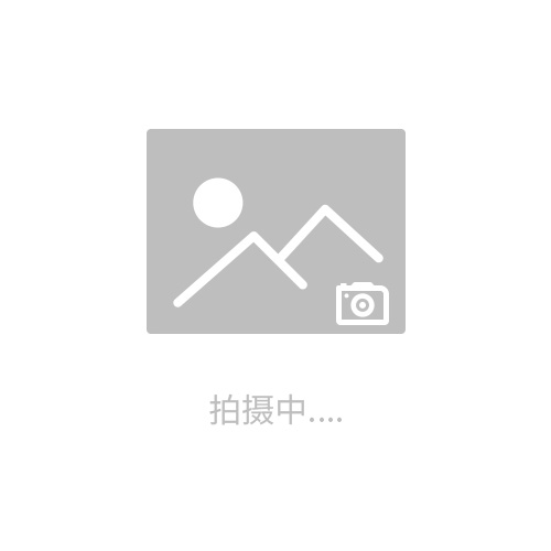 长园深瑞ISA-311GB 110KV带测控距离保护 集中控制装置